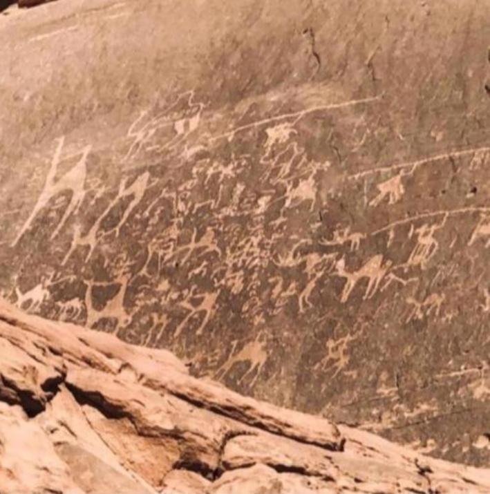 Hotel Star Magic Camp Wadi Rum Exterior foto